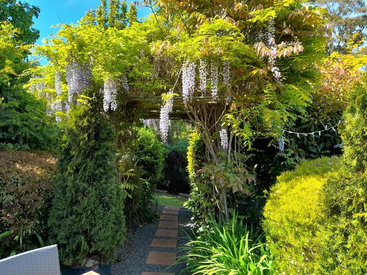 Hillside Bed And Breakfast Huonville Extérieur photo