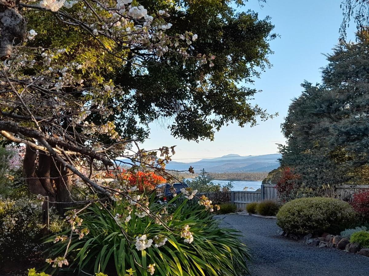 Hillside Bed And Breakfast Huonville Extérieur photo