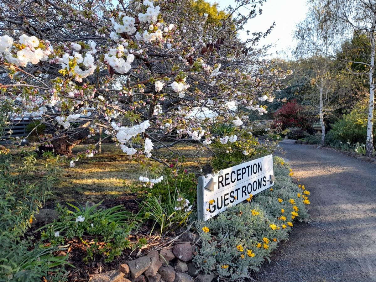 Hillside Bed And Breakfast Huonville Extérieur photo
