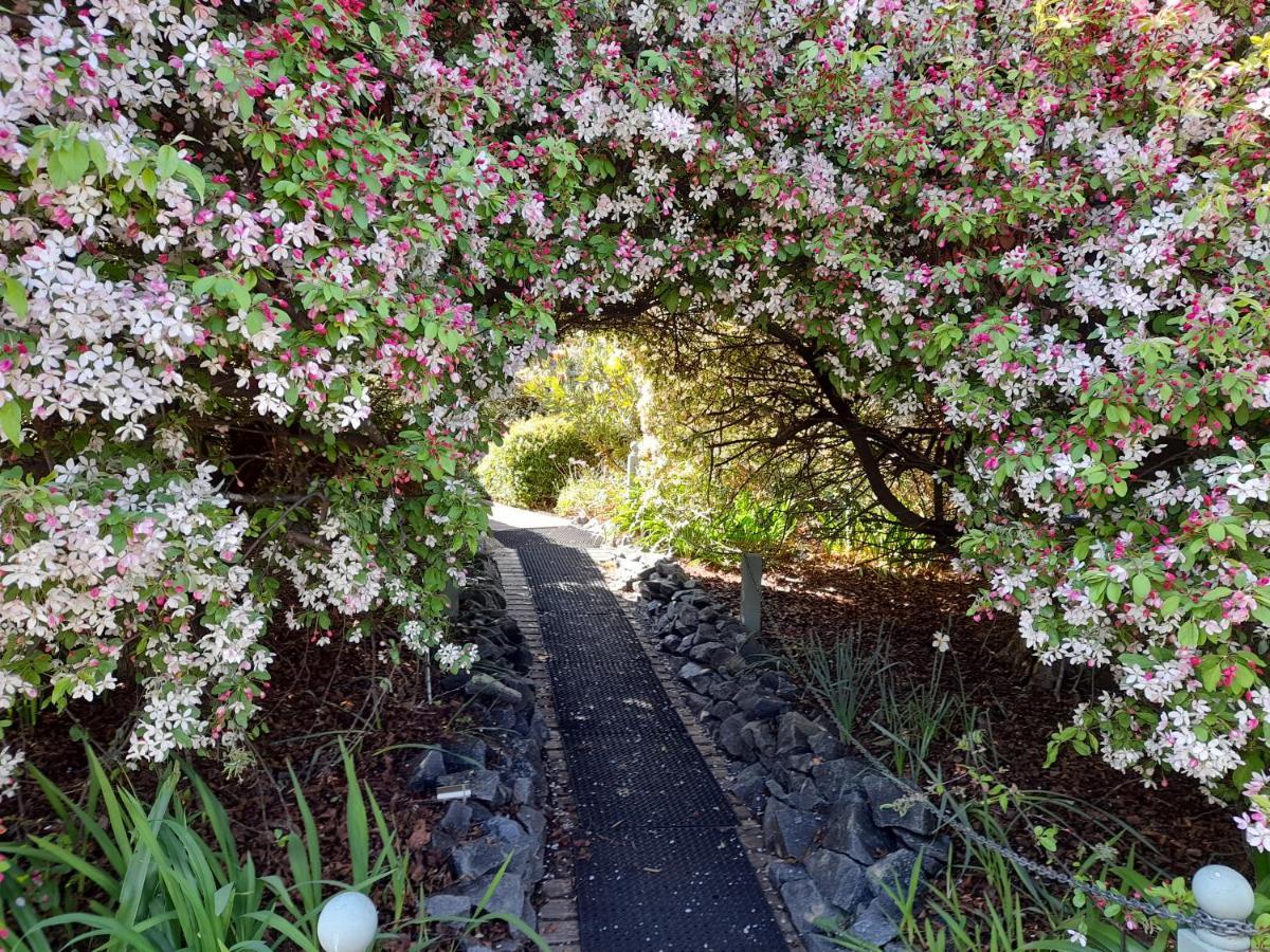 Hillside Bed And Breakfast Huonville Extérieur photo