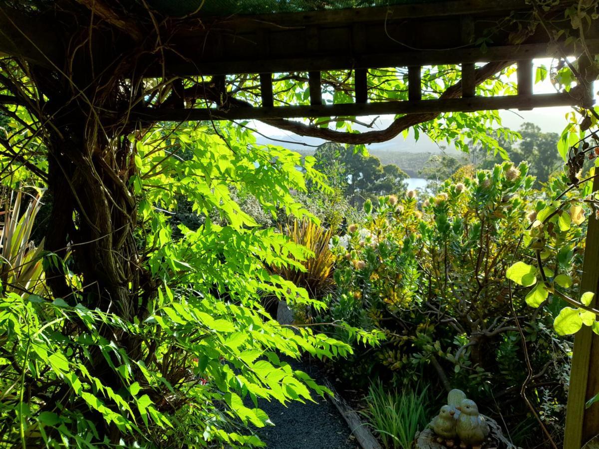 Hillside Bed And Breakfast Huonville Extérieur photo