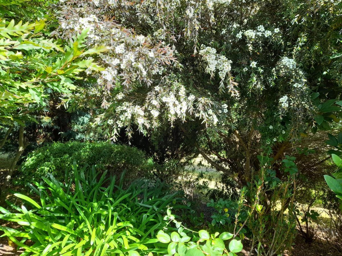 Hillside Bed And Breakfast Huonville Extérieur photo