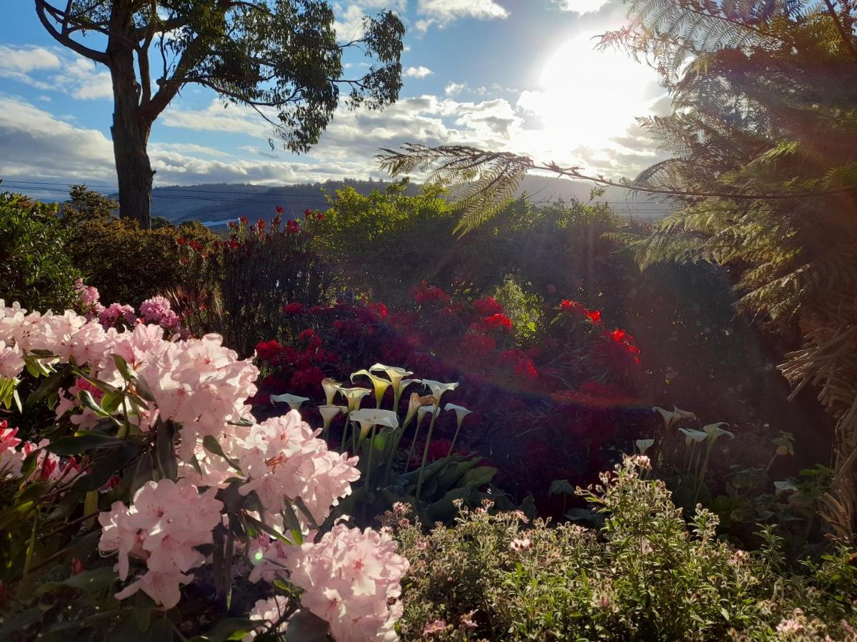 Hillside Bed And Breakfast Huonville Extérieur photo