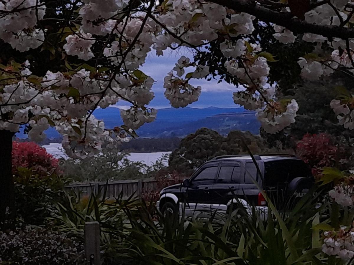 Hillside Bed And Breakfast Huonville Extérieur photo