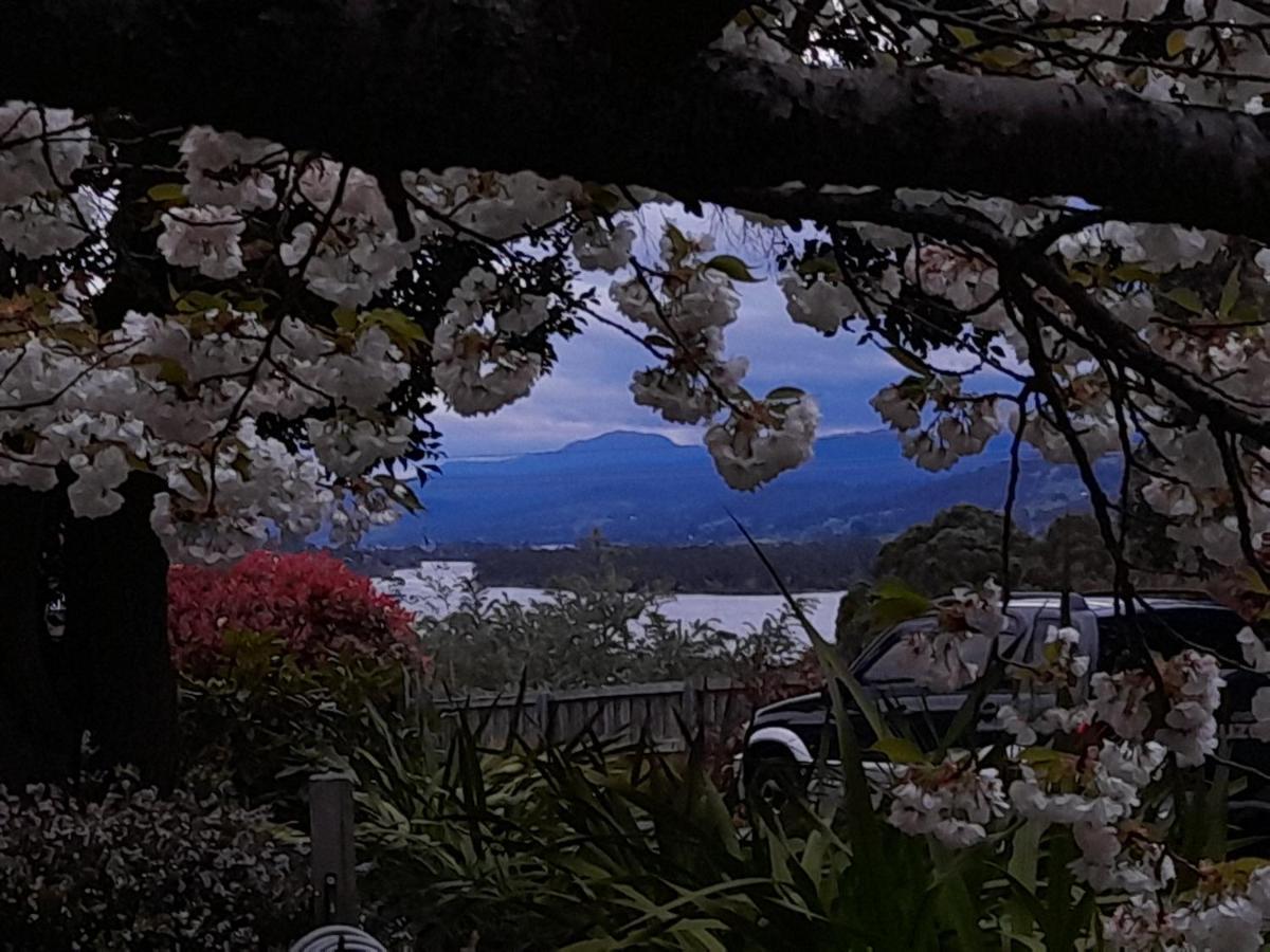 Hillside Bed And Breakfast Huonville Extérieur photo