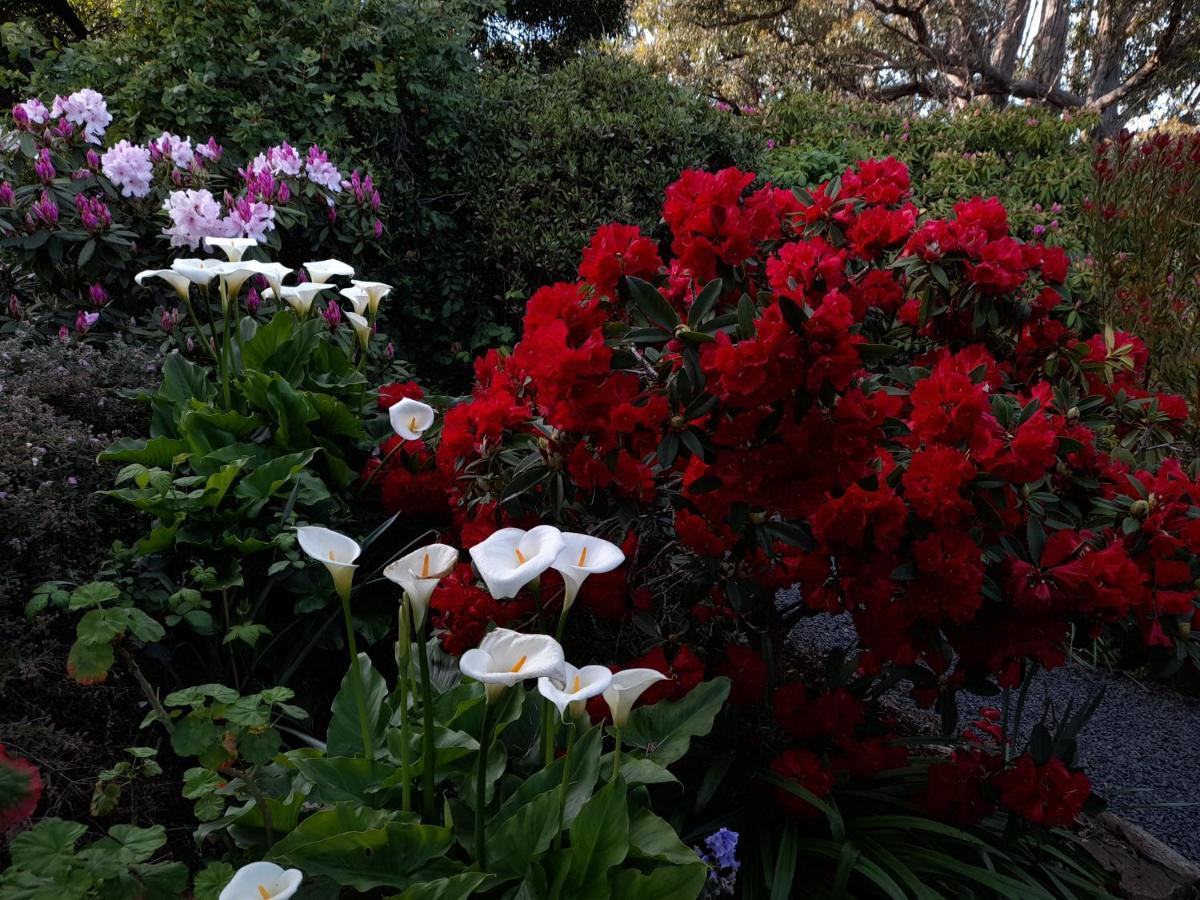 Hillside Bed And Breakfast Huonville Extérieur photo