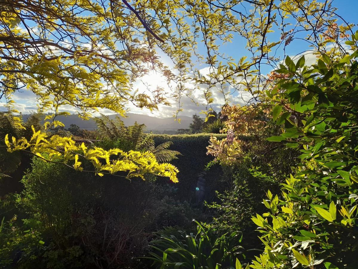 Hillside Bed And Breakfast Huonville Extérieur photo