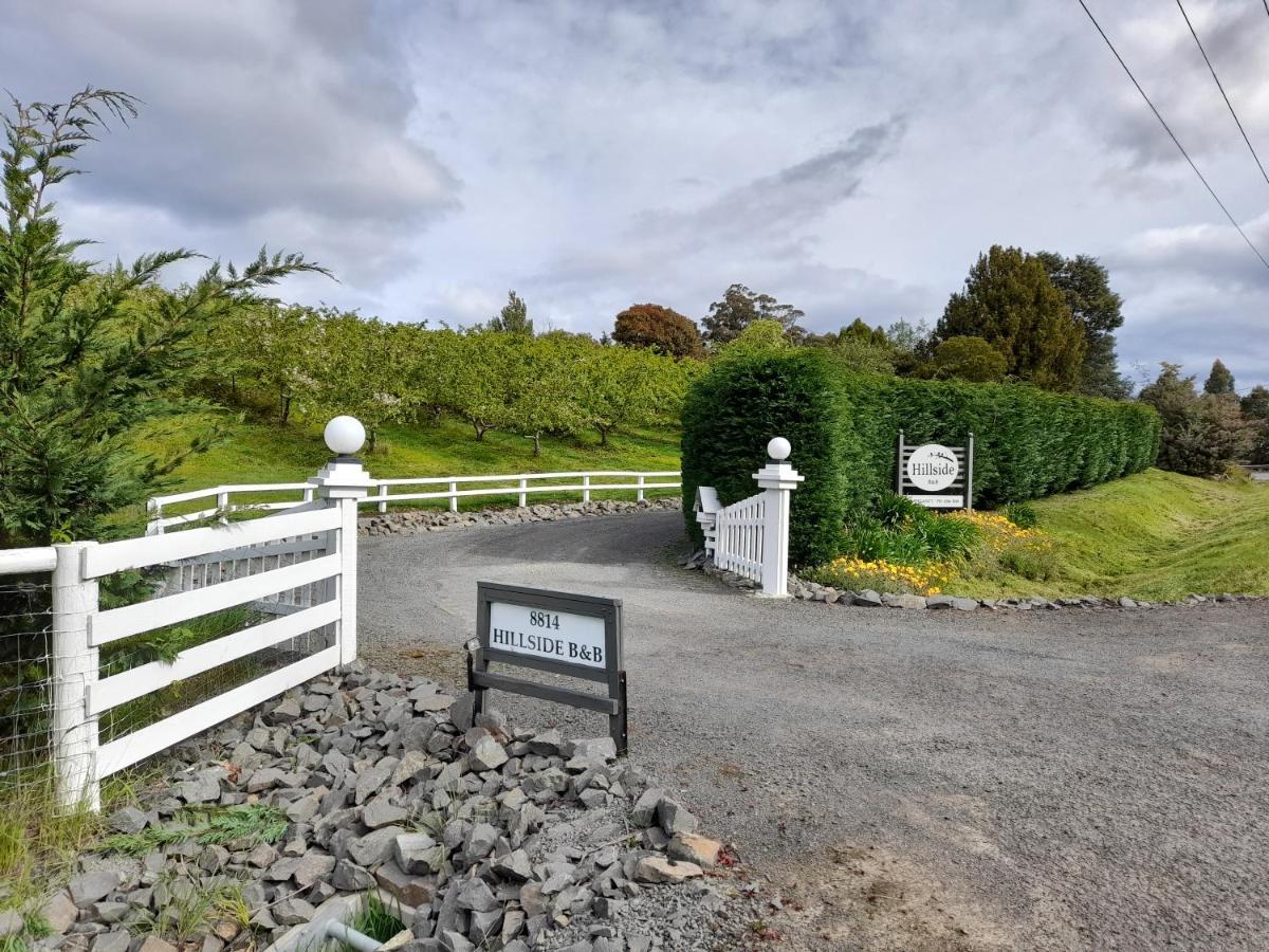 Hillside Bed And Breakfast Huonville Extérieur photo