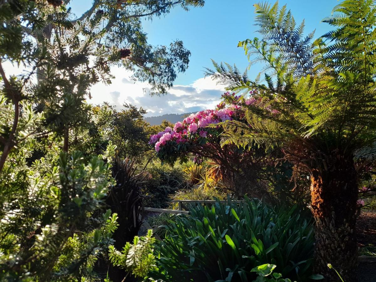 Hillside Bed And Breakfast Huonville Extérieur photo
