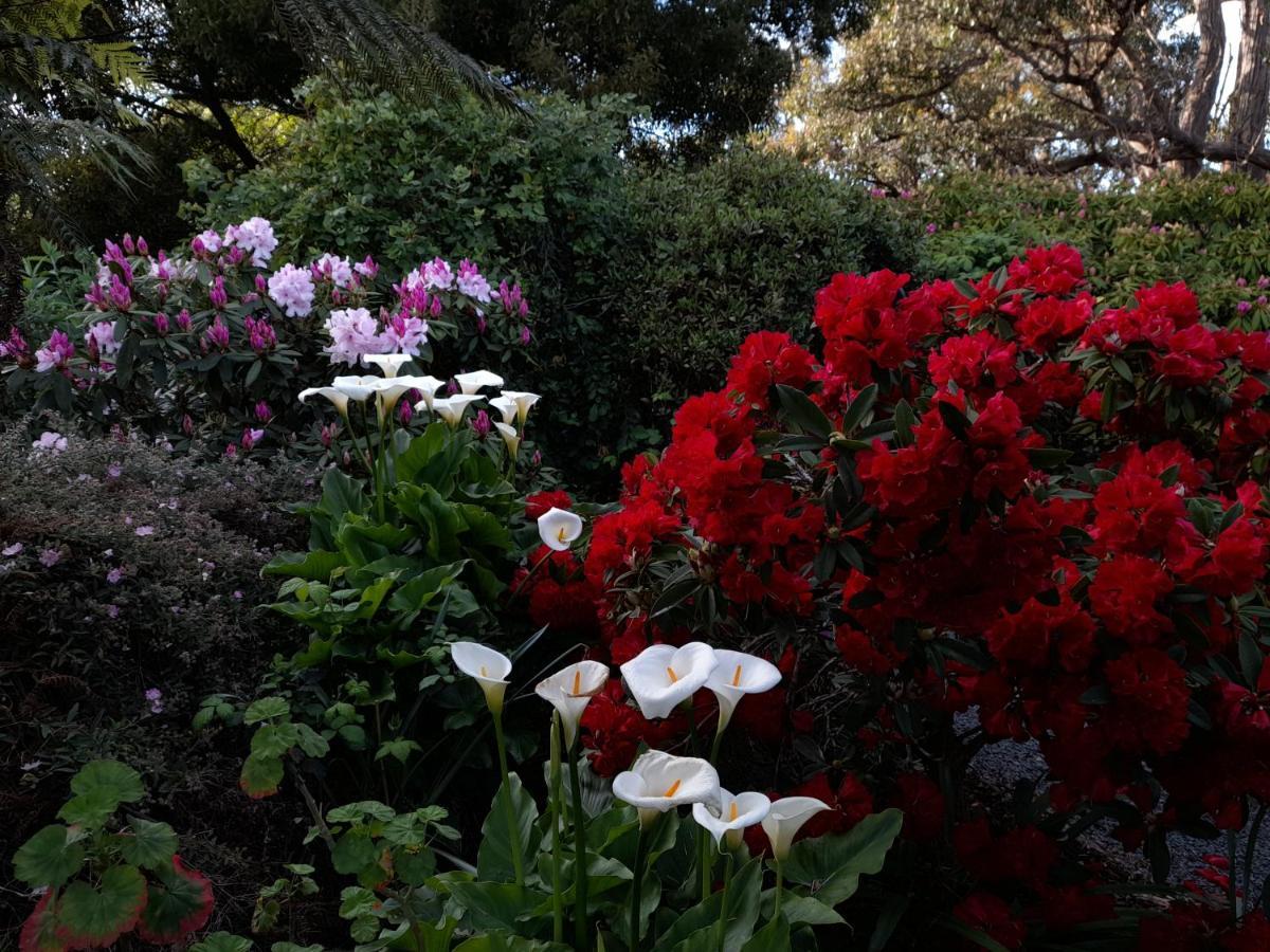 Hillside Bed And Breakfast Huonville Extérieur photo