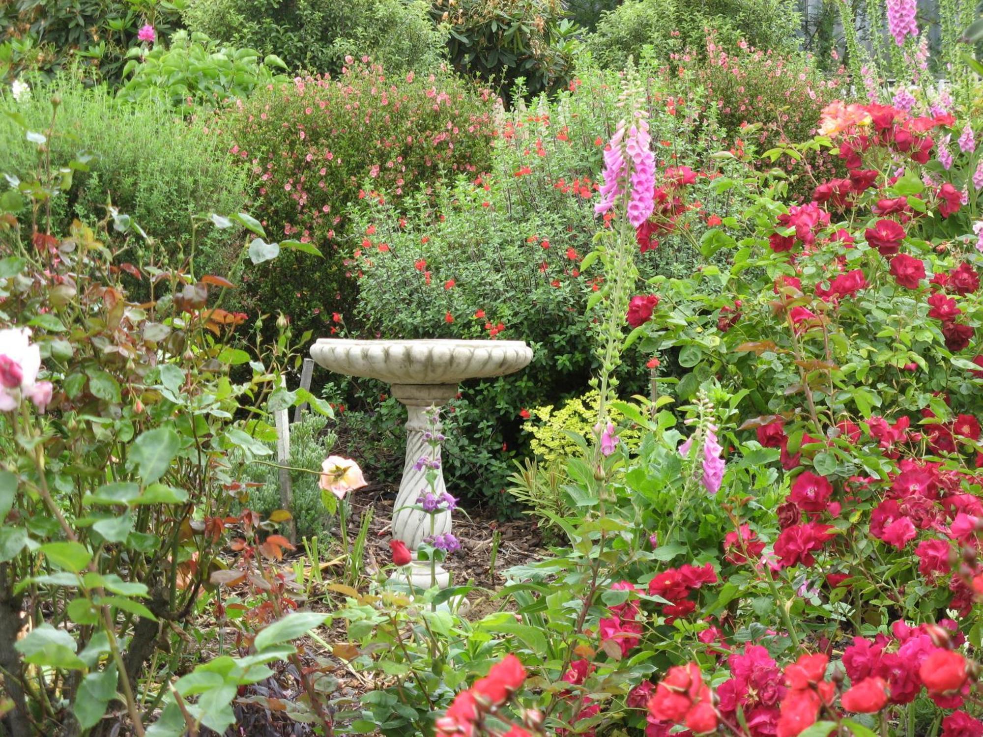 Hillside Bed And Breakfast Huonville Extérieur photo